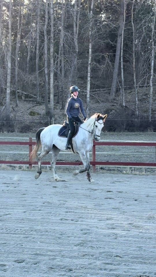 TikTok video thumbnail by equi.linnea
