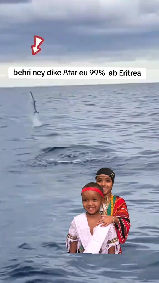 TikTok video thumbnail by king_of_dankalia