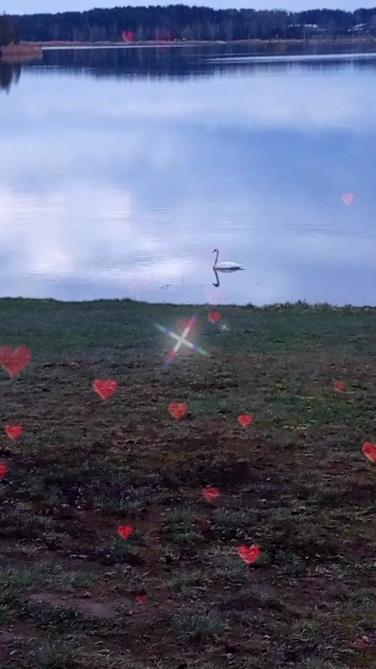 TikTok video thumbnail by sofija2025_