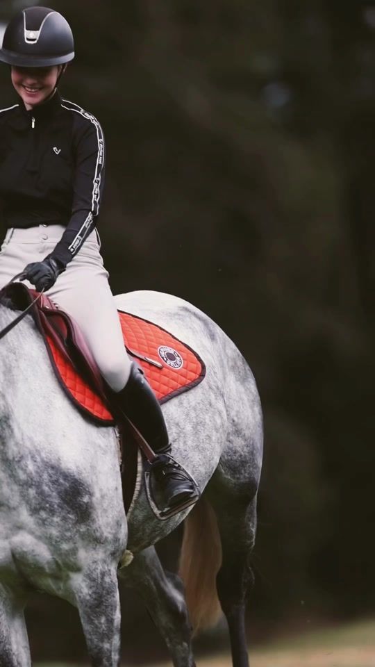 TikTok video thumbnail by showjumping_jw