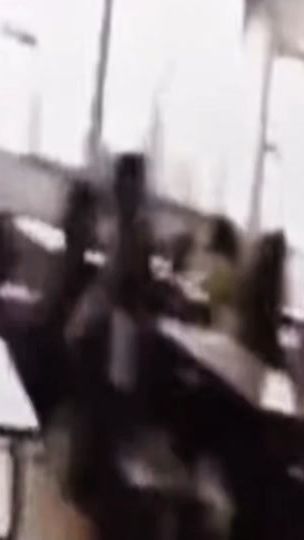 TikTok video thumbnail by genie_introuvable