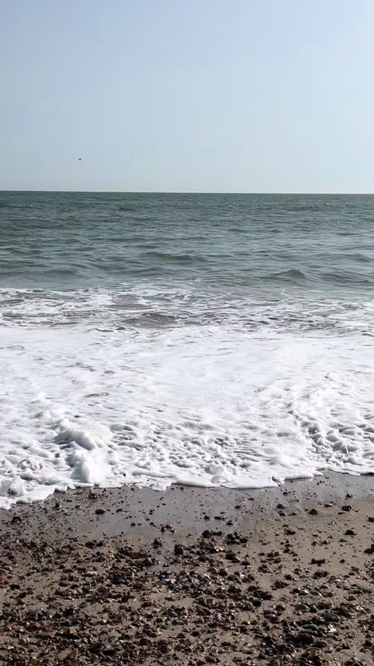 TikTok video thumbnail by citrusreefs