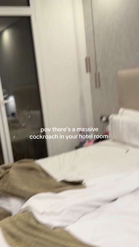 TikTok video thumbnail by lucyhelenaledgeway