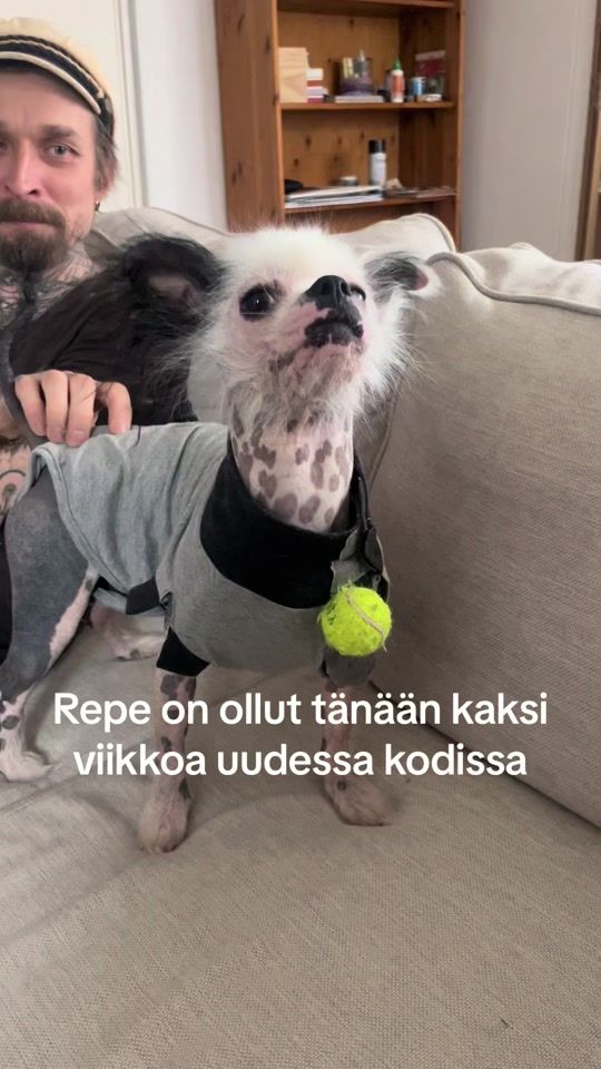 TikTok video thumbnail by repekoukku