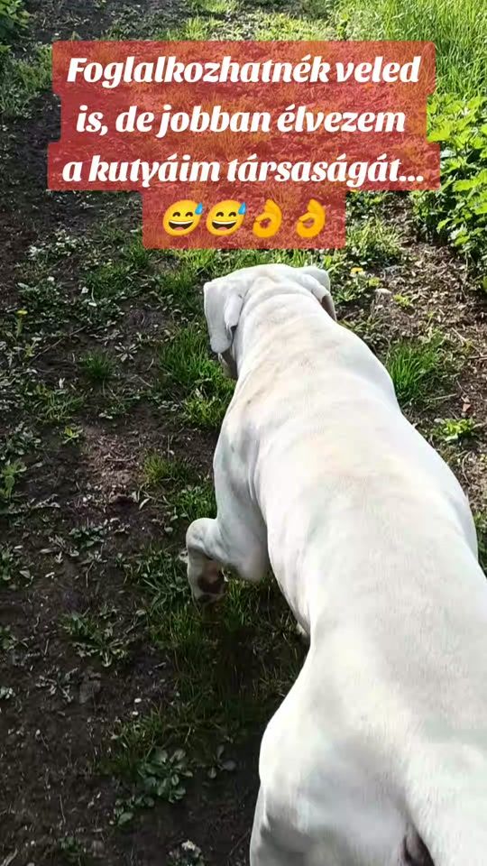 TikTok video thumbnail by kovacs.agnes_85