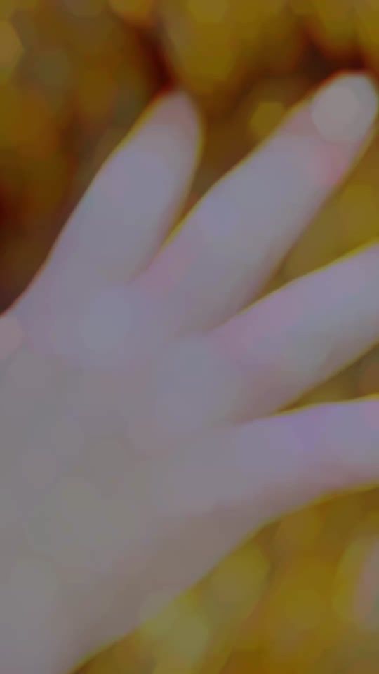TikTok video thumbnail by thetailcompany