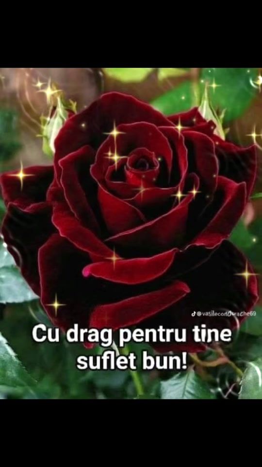 TikTok video thumbnail by doina258
