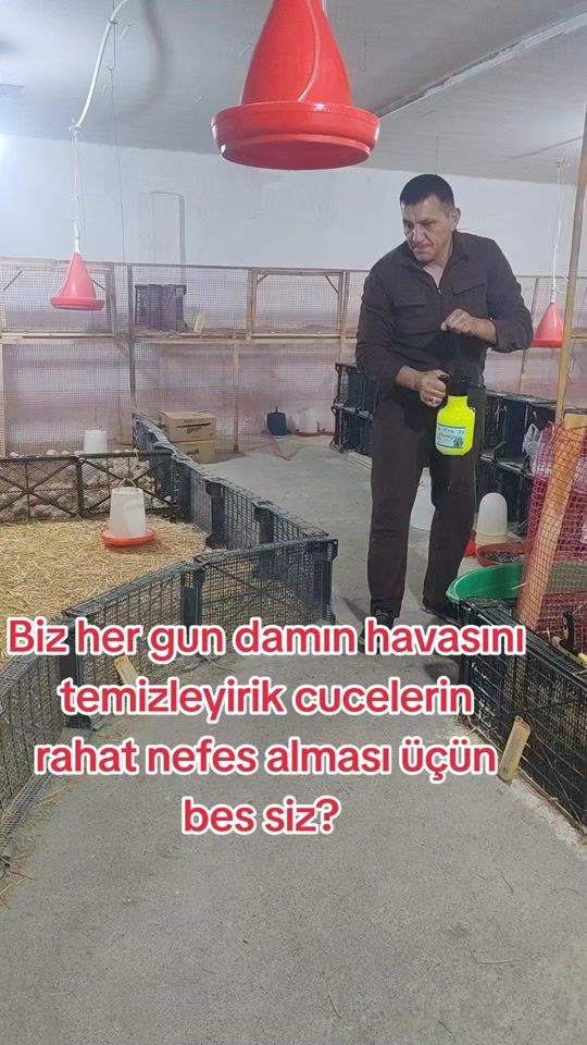 TikTok video thumbnail by metanet.y