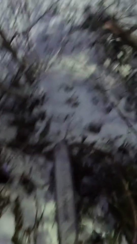 TikTok video thumbnail by holzer_08