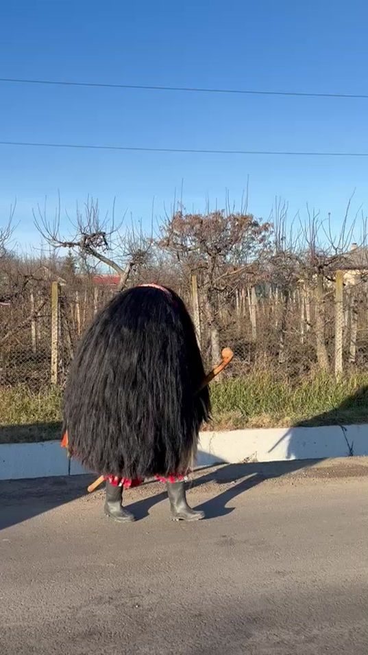 TikTok video thumbnail by adrianrazvan985