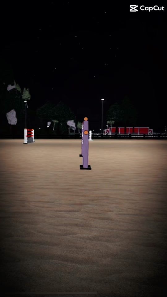 TikTok video thumbnail by vishorses