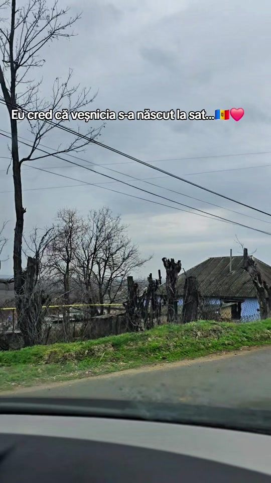 TikTok video thumbnail by alexa903.3