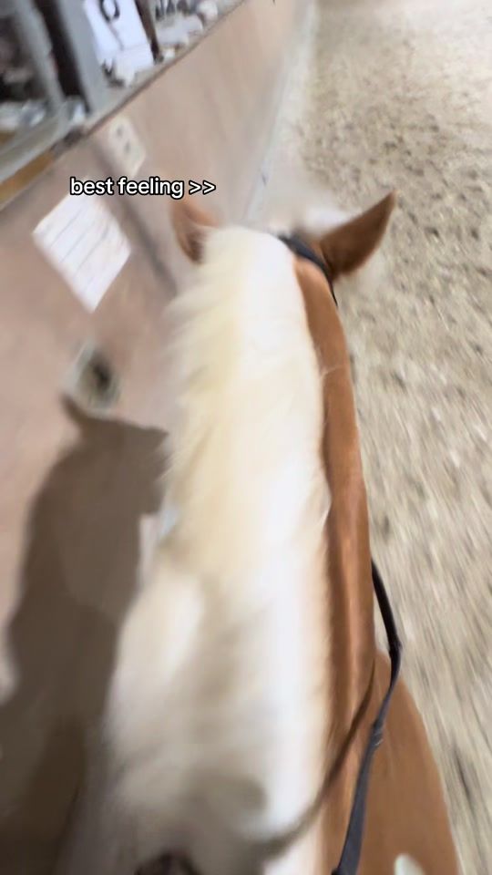 TikTok video thumbnail by sporthafi_steinadler
