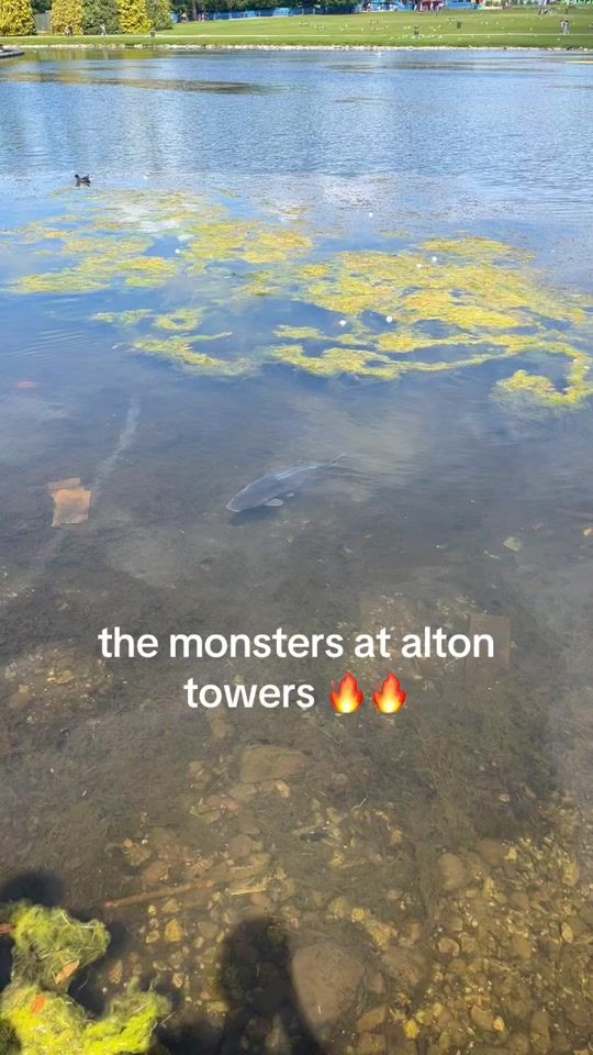 TikTok video thumbnail by uk_fishing43