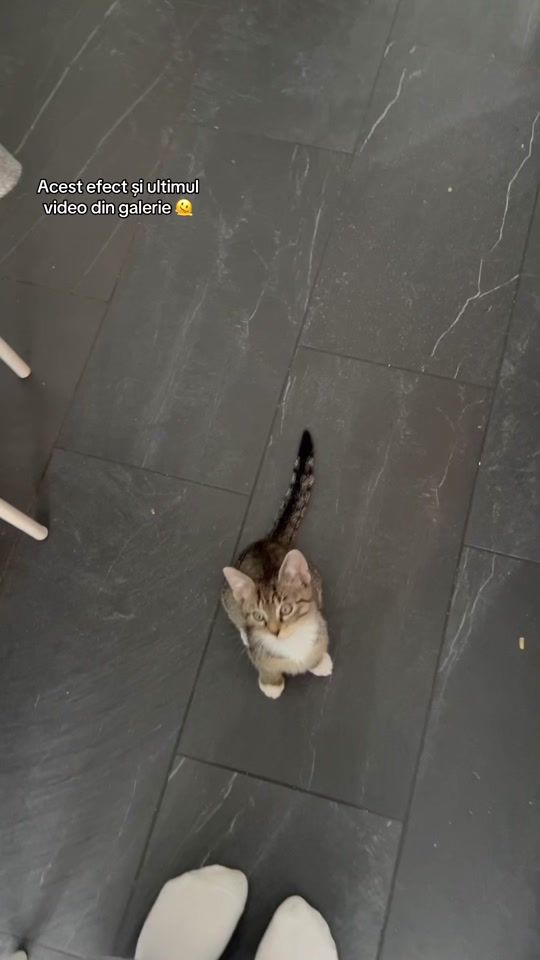 TikTok video thumbnail by lia_bn05