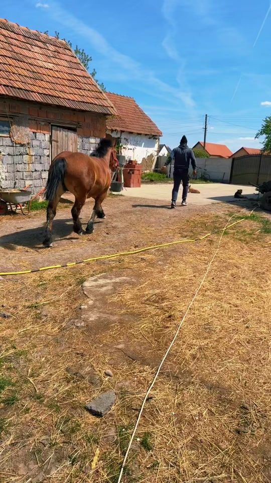 TikTok video thumbnail by _agro.farm_