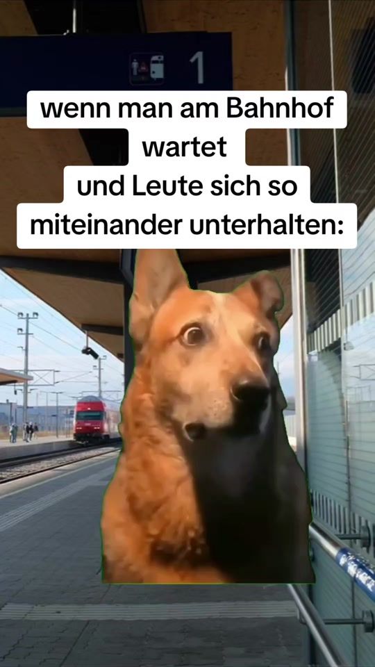 TikTok video thumbnail by simone___amazoone