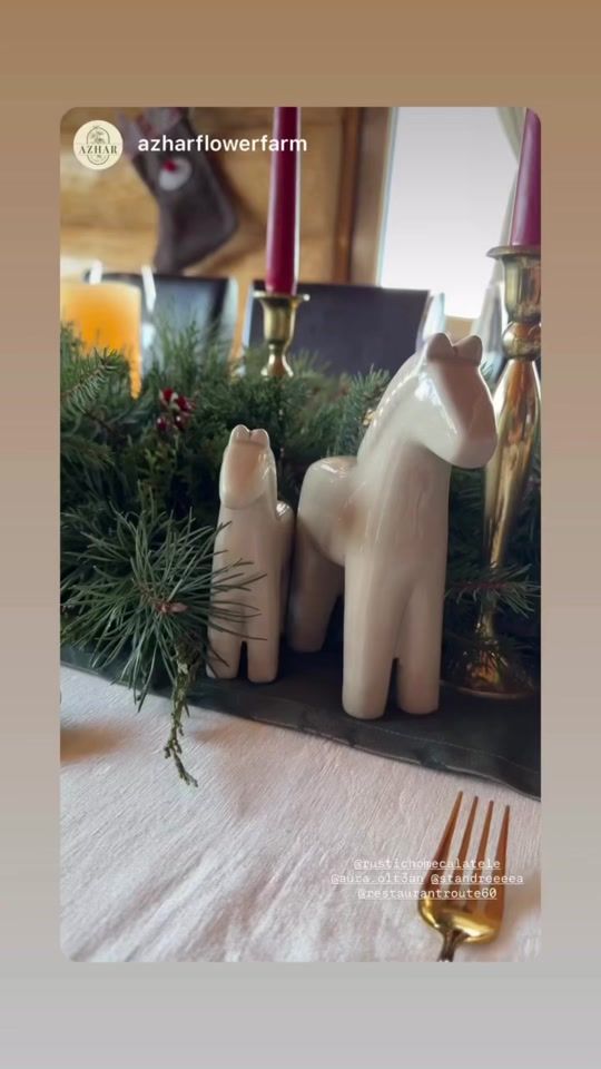 TikTok video thumbnail by rustichome0