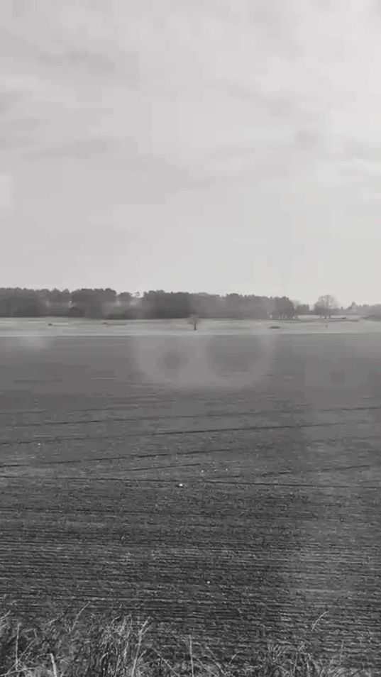 TikTok video thumbnail by live.your.life.83