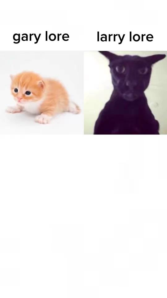 TikTok video thumbnail by catsbeiingcats