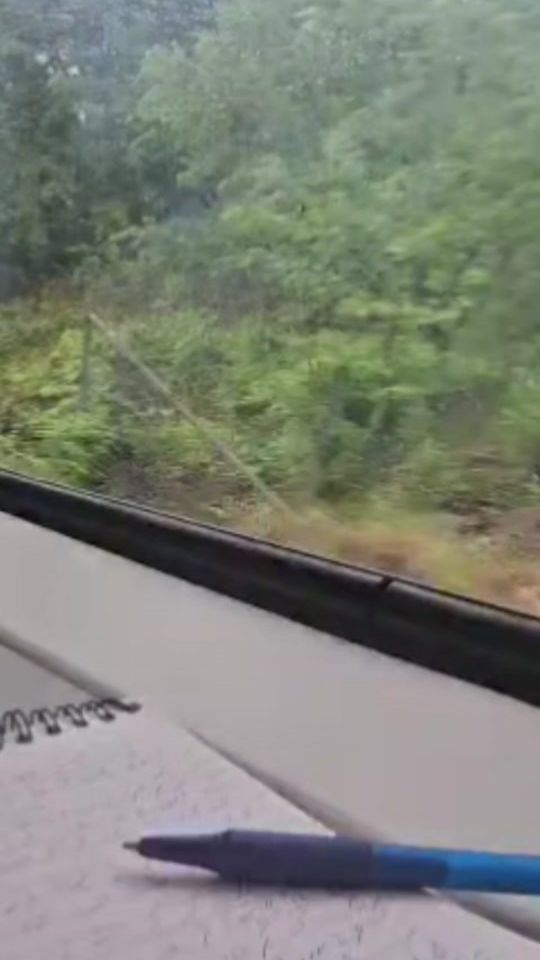 TikTok video thumbnail by shahid55jamil