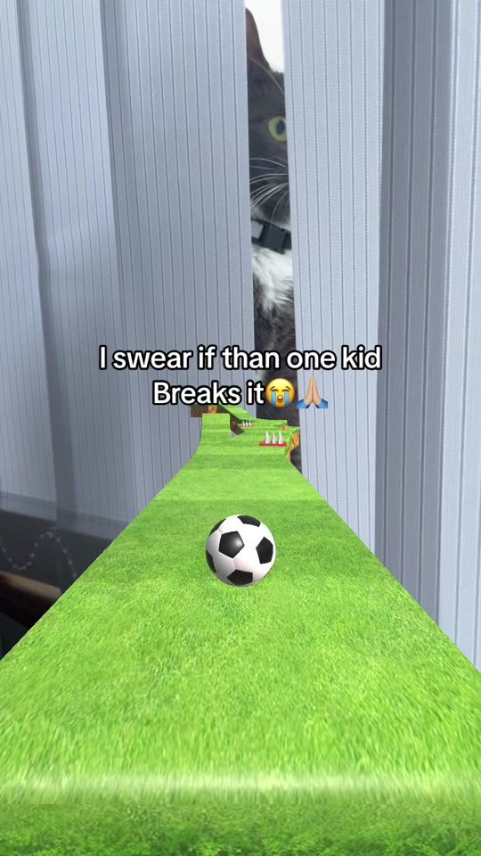 TikTok video thumbnail by mcdiors_npc