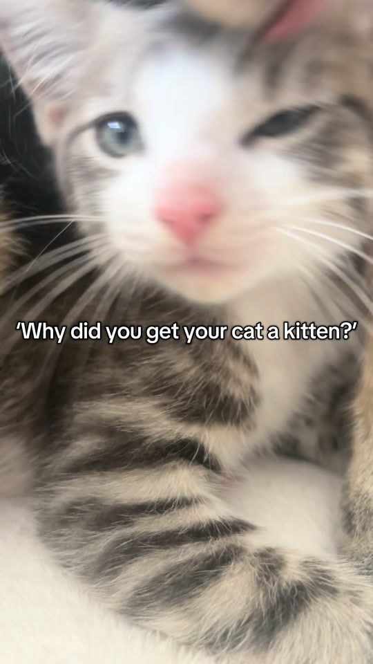 TikTok video thumbnail by benniandvinnie