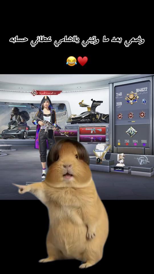 TikTok video thumbnail by ranoush806