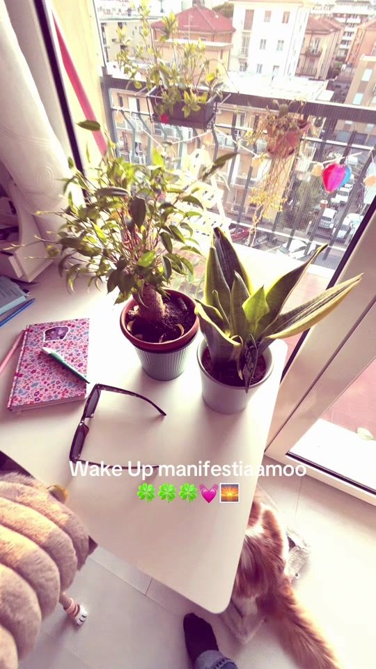 TikTok video thumbnail by saracaccolina