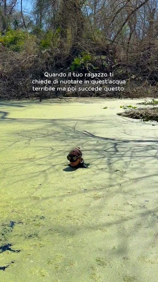 TikTok video thumbnail by bonnyandgava