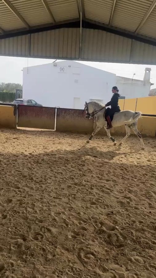 TikTok video thumbnail by mangelescubero