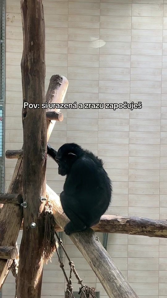 TikTok video thumbnail by simona._08