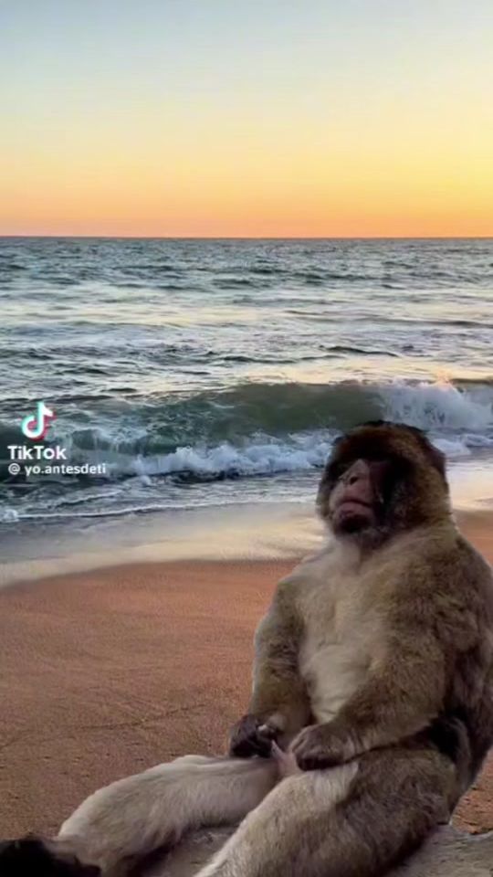 TikTok video thumbnail by condena_viril
