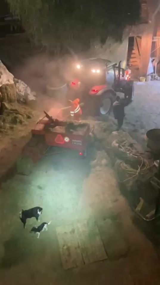 TikTok video thumbnail by florinborer