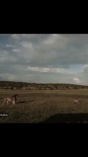 TikTok video thumbnail by notch2lion
