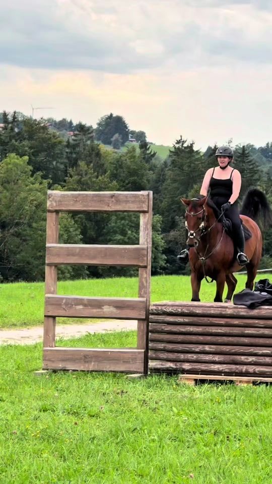 TikTok video thumbnail by horse_live_agus