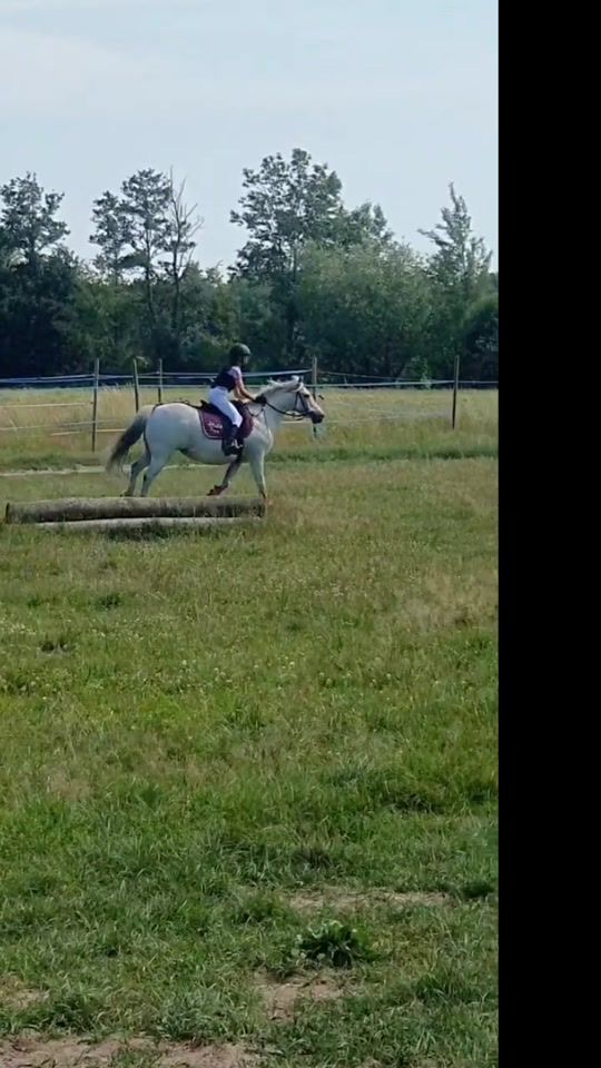 TikTok video thumbnail by martx_equestrian