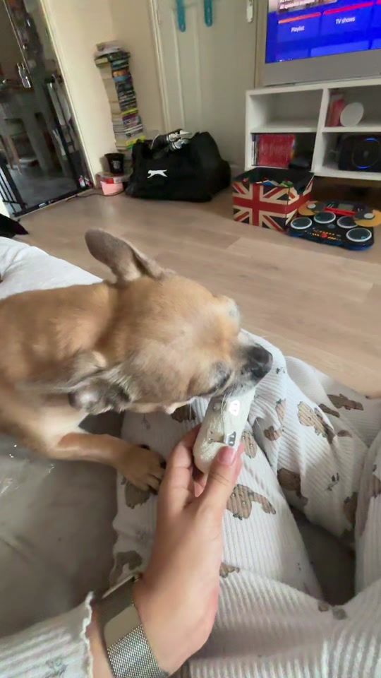 TikTok video thumbnail by thefoleythree