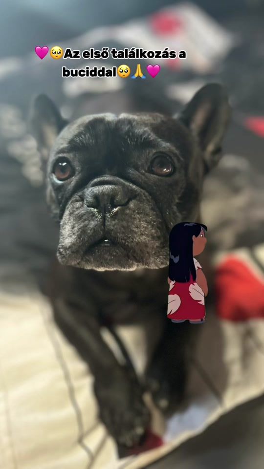 TikTok video thumbnail by carmensikos