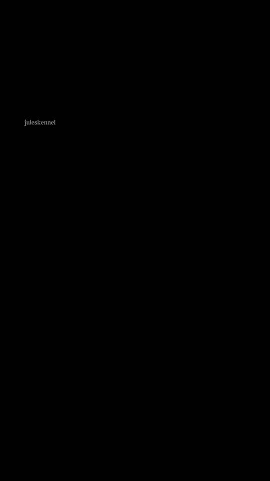 TikTok video thumbnail by juleskennel