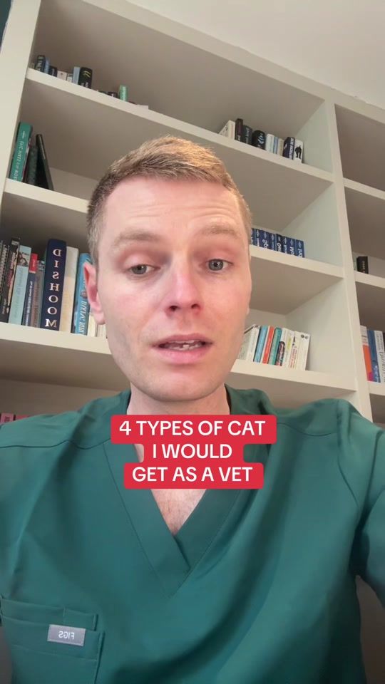 TikTok video thumbnail by ben.the.vet