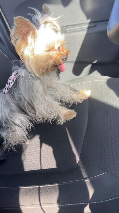 TikTok video thumbnail by lorynails08makeup