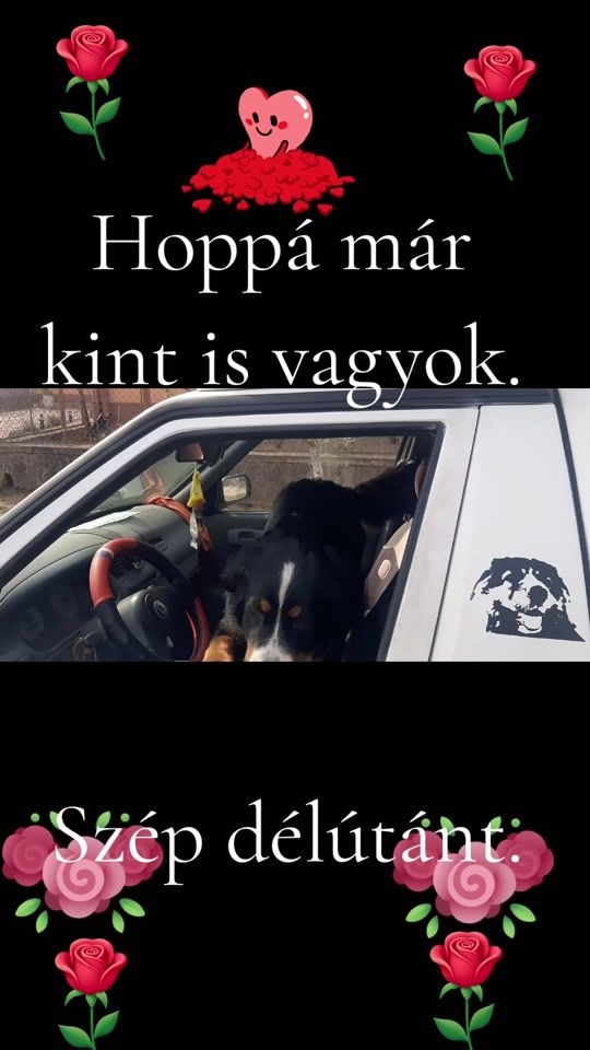 TikTok video thumbnail by alexanderferko