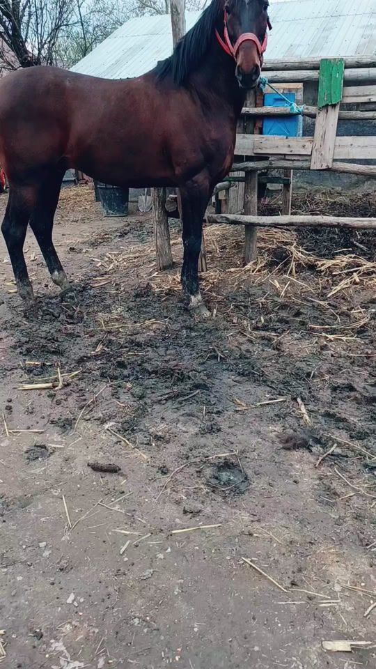 TikTok video thumbnail by madalin_._01