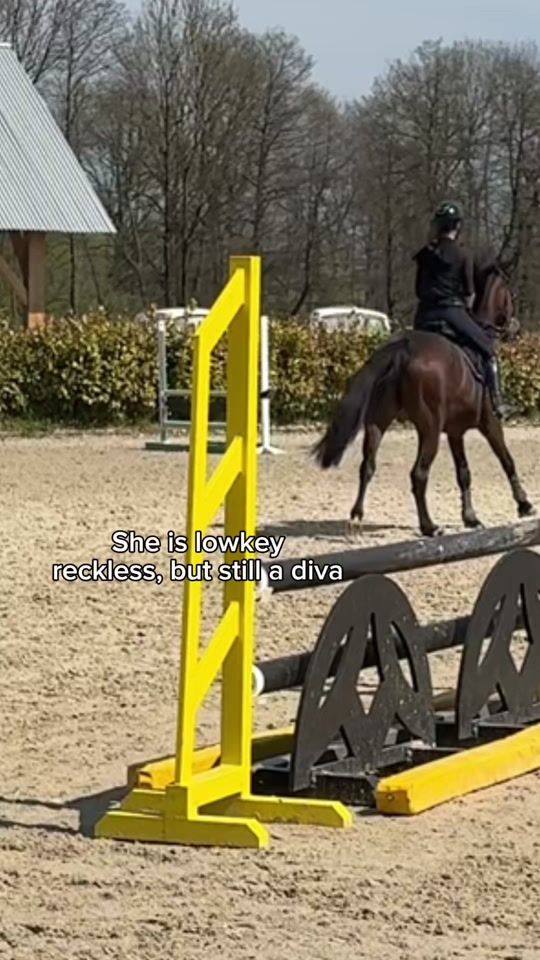 TikTok video thumbnail by martinuss.redbull