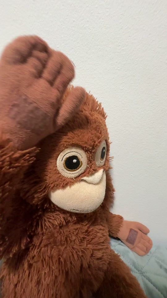 TikTok video thumbnail by mcmonkeycraft