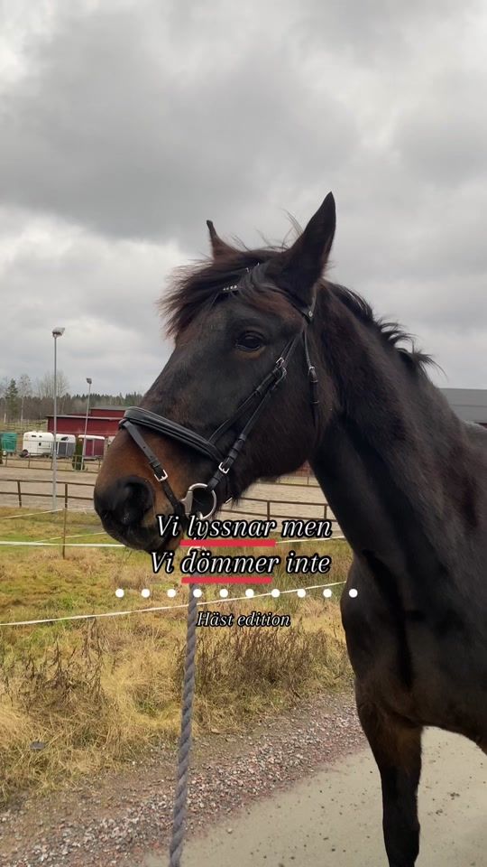 TikTok video thumbnail by equi.zelda2.0