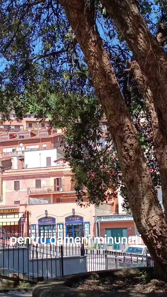TikTok video thumbnail by allealewwwcom.....ale