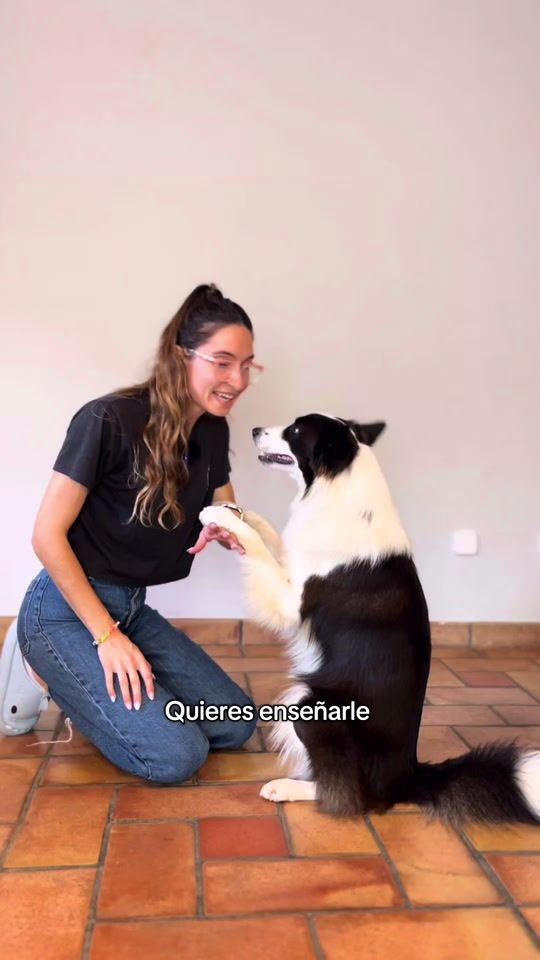 TikTok video thumbnail by llimilesnenes