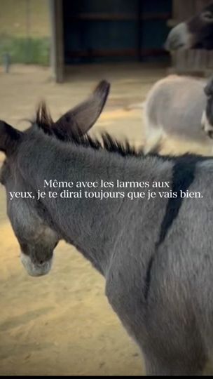 TikTok video thumbnail by dams_41k